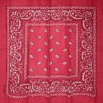 Zitaget Photo of Μπαντανα Μαντήλι Λαχούρι Cotton 52x52cm 4teen4ty 401106